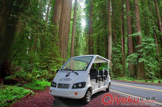 连云港富山房地产有限公司-电动观光车