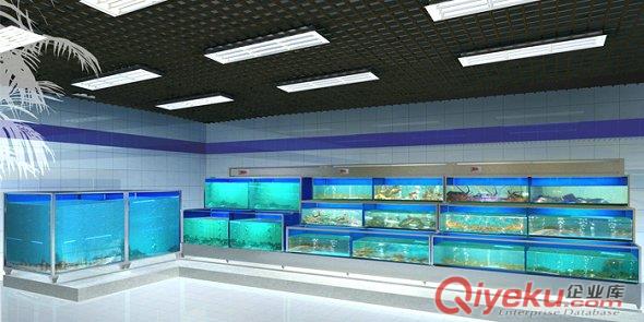 广州鱼池海鲜池 酒店海鲜池设计施工服务 水族耗材供应
