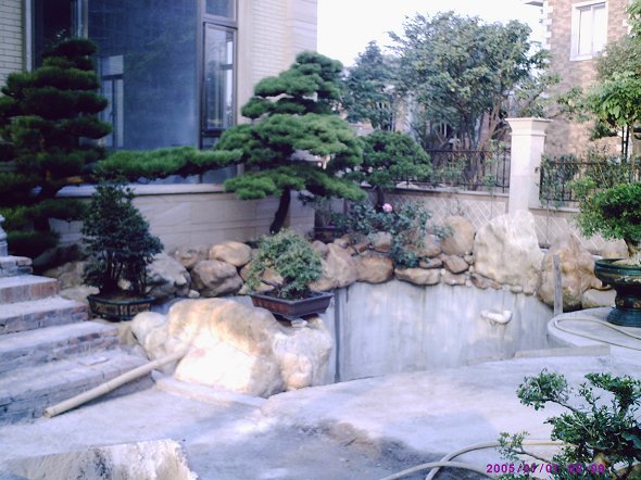 广州鱼池设计