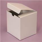 广州纸箱厂定制纸箱，纸盒，飞机盒，特硬飞机盒，瓦楞纸盒 