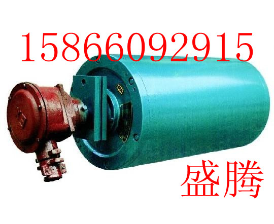 油冷式电动滚筒 电动滚筒（TDY75，YDB) 电动滚筒