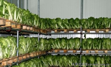 供应旌德蔬菜保鲜冷库 大型装配冷安装，盛雪制冷系列