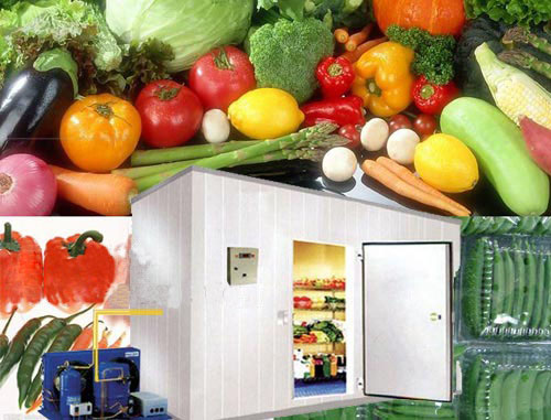 供应气调冷库，农作物冷库，食品保鲜冷库，制冷设备工程设计安装