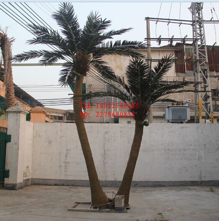 户外仿真椰子树 gf真椰子树    定制仿真椰子树  人造椰子树