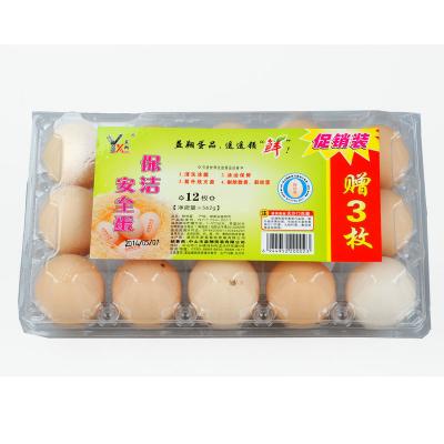 广州禽蛋类供应商