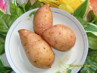红薯收购_红薯苗厂家_嘉祥金薯地瓜种植