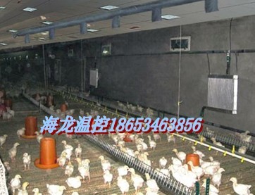 山东|鸡棚升温设备|价格|厂家|供应商-海龙温控