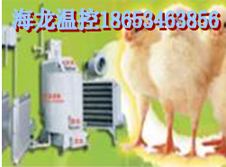 海龙|小鸡升温设备|专业生产商-海龙温控
