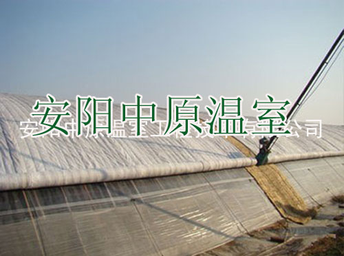 大棚棉被/安阳市中原温室