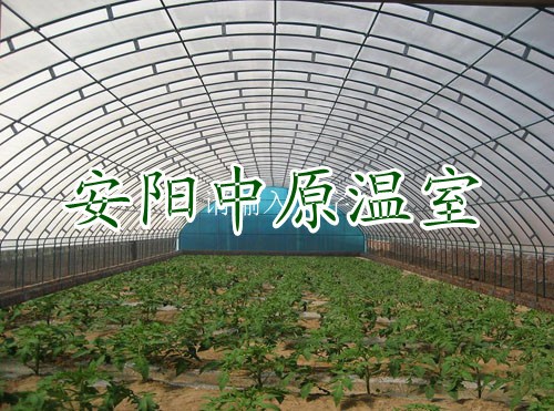 蔬菜大棚骨架供应/安阳市中原温室