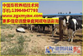 畜牧养殖技术网_中国畜牧养殖网_养殖技术网