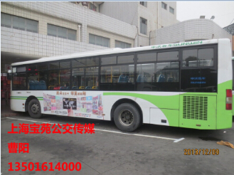 上海世博会车身广告/上海户外广告/上海巴士广告