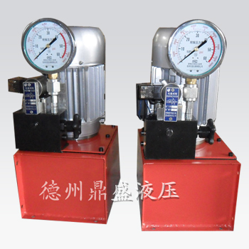合丰|220V微型电动泵|专业生产商-鼎盛液压