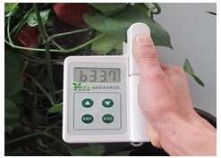 植株营养诊断仪|植物营养诊断仪|植物营养测定仪