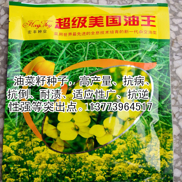 供应美国油王油菜种子批发高产量油菜种子yz油菜籽种