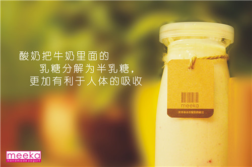 meeka手工酸奶/ 鲜榨果汁供应商