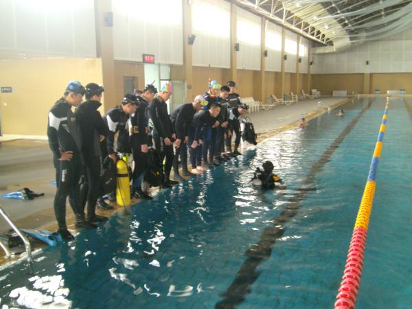 葫芦岛潜水培训 葫芦岛潜水培训价格 沈阳中蛙人潜水