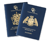 护照/护照办理 快速护照办理 上海日锋国际