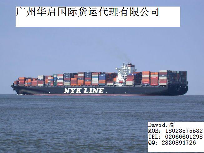 广州各大船公司到TEMA海运