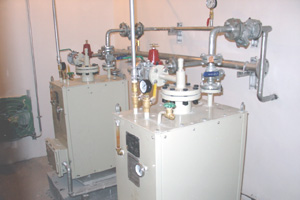 50公斤电热式气化炉100公斤电热式气化器