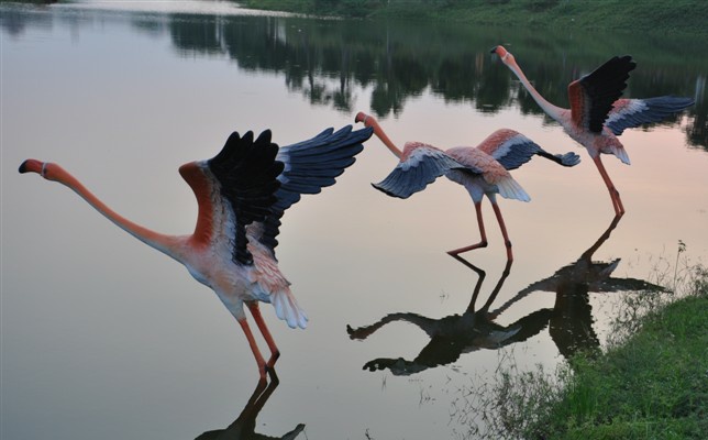 富力地产红树湾玻璃钢火烈鸟雕塑