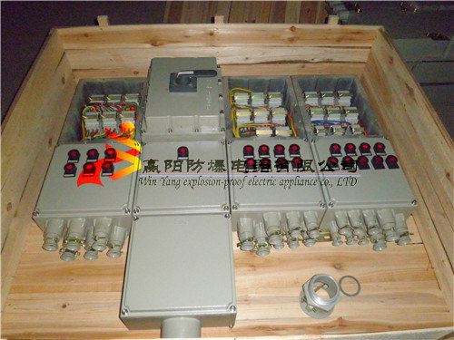 BXM69防爆照明配电箱带漏电保护