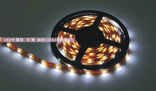 LED贴片灯带厂家、LED贴片5050灯条、SMDDC12V（三安芯片包胶）