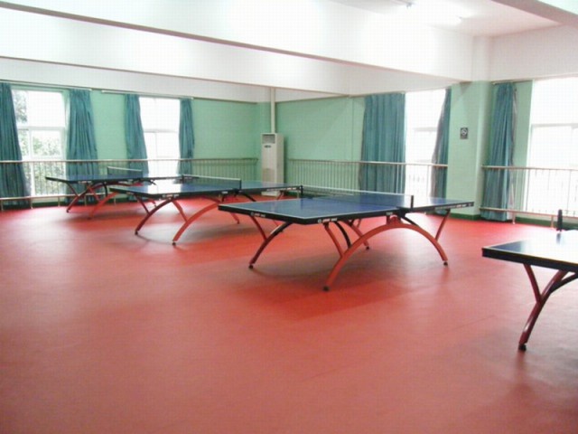 乒乓球室专用塑胶地板