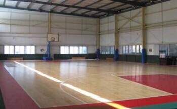 室内篮球场地板_广州健动运动地板