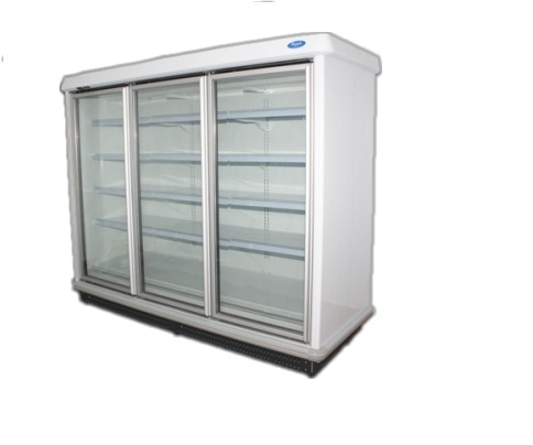 供应凯尼亚KN-DB2.4L4F超前冷冻立柜
