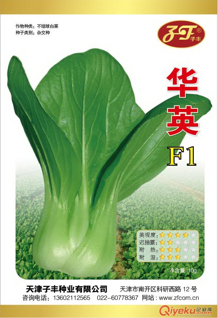 天津子丰种业有限公司青梗菜、蔬菜种子出售技术交流