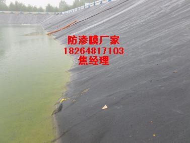 供应南京蓄水池防渗膜规格|盘锦两布一膜价格|施工