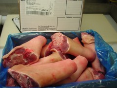 永登县有售加拿大冷冻猪肘猪手猪心猪大肠猪小肠猪尾巴五花肉