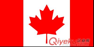 加拿大10年多次往返超级签证办理