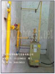 {zd1}价供应台湾HNT100KG液化气气化器厂家直销-电热式气化器