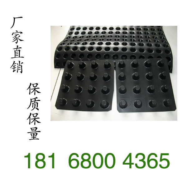 江苏蓄排水板型号众多价格低18168004365
