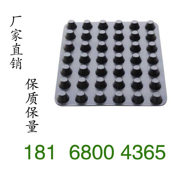 工厂直销江苏排水板图片优质产品价格18168004365