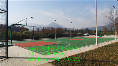 供应安阳yz塑胶足球场（10mm，SJ-13）