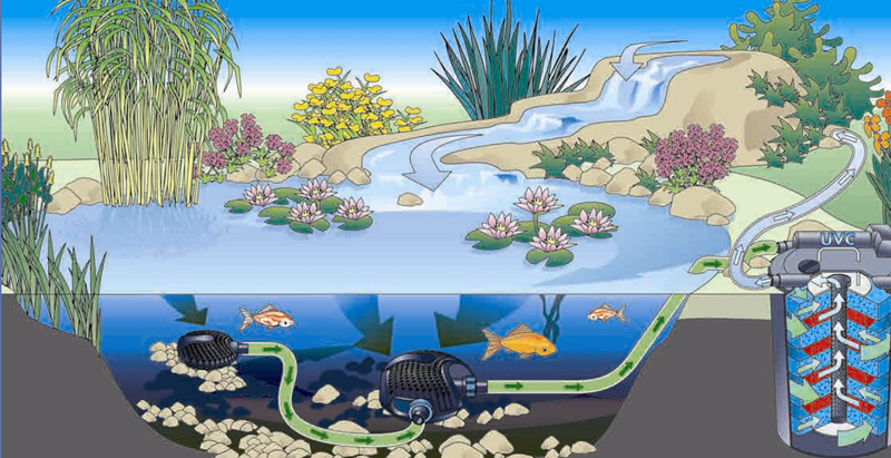 深圳景观鱼池生物过滤净化系统
