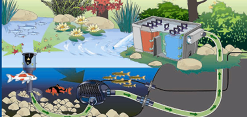 深圳景观鱼池生物过滤净化系统