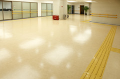 博高敬老院PVC塑胶地板防滑舒适又环保
