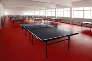 绍兴PVC运动地板，绍兴乒乓球地板厂家