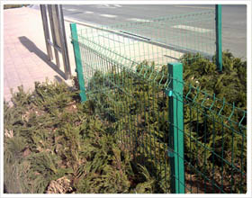 草坪隔离网    刺绳防护网护栏网厂