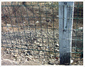 公路护栏网厂家球场护栏网养殖护栏网