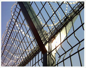 建筑护栏网  护栏网厂家  养殖护栏网