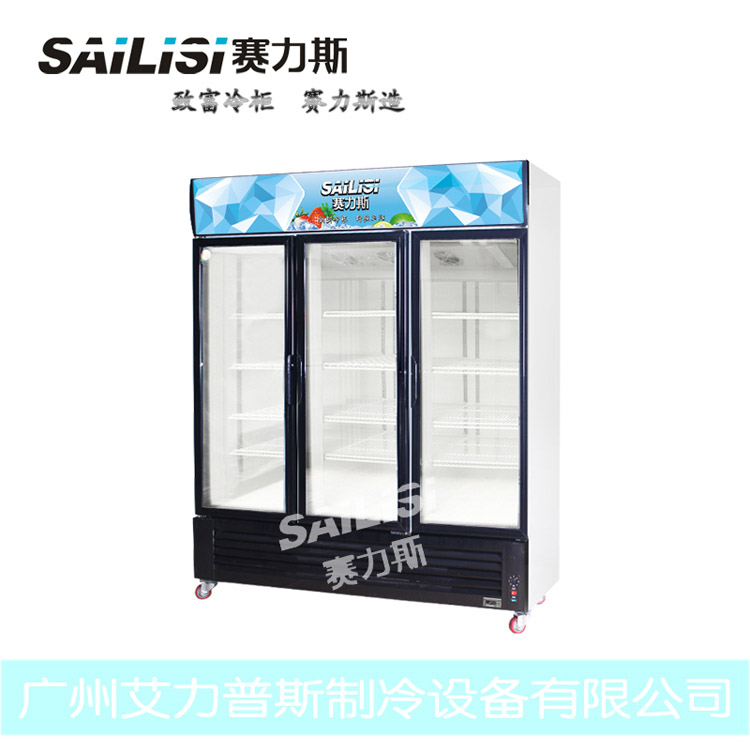 赛力斯 展示冷柜 超市饮料冷藏柜 水果保鲜柜 冰柜