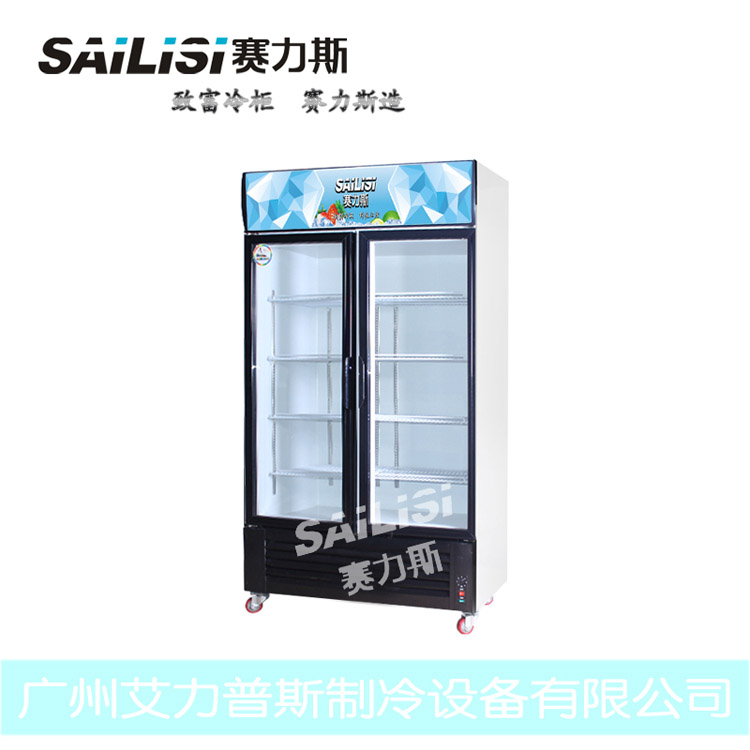供应赛力斯两门直冷冷藏饮料展示柜冷柜