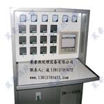 海南莱豪ZWK-I-480KW智能温控仪定制