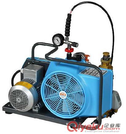 中国市场上品质{zh0}的空气呼吸器充气泵