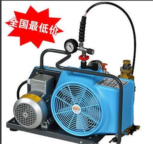 中国总代理MCH6科尔器空气呼吸器充气泵（进口报价单）
